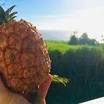 Azores Casa Atlantis Hébergement de vacances Nordeste (Azores)