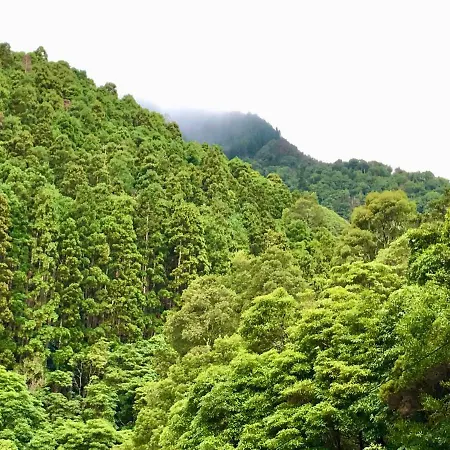 Azores Casa Atlantis *