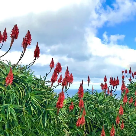 Azores Casa Atlantis 펜션 *