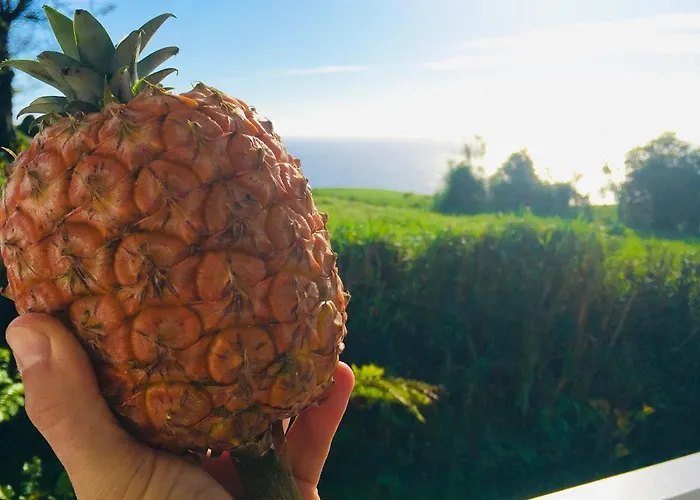 Azores Casa Atlantis 펜션 노르데스테