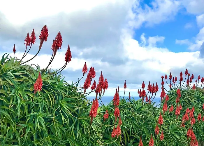 Azores Casa Atlantis Casa de Férias *
