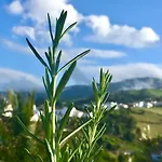 Azores Casa Atlantis Holiday home