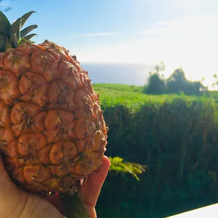 Azores Casa Atlantis Дом отдыха Нордешти