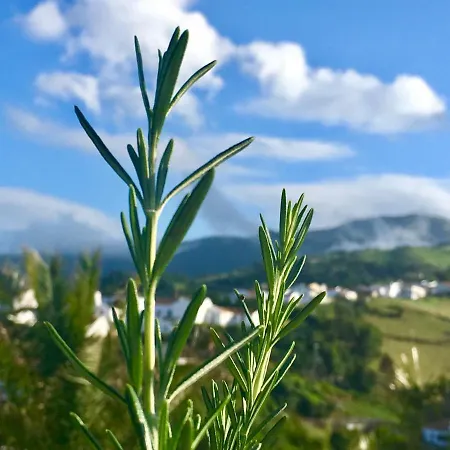 Azores Casa Atlantis Дом отдыха