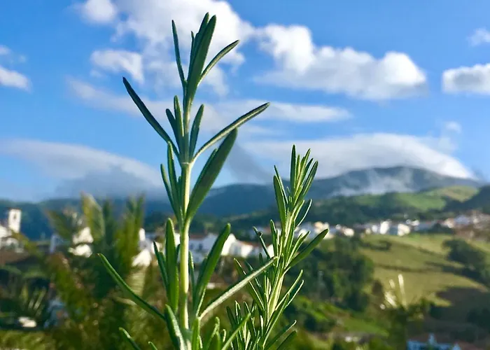 Azores Casa Atlantis Feriehus
